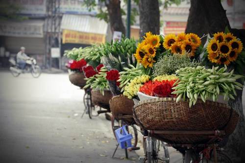 Phan Đình Phùng và Hoàng Diệu cũng là một trong ít ỏi những con đường kẽo kẹt tiếng xe đạp chở đầy những thức hoa giao mùa