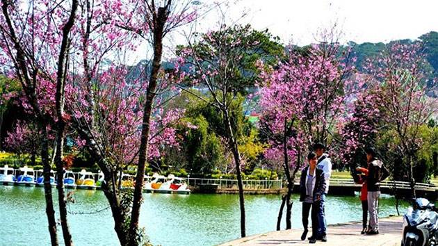 Khu vực Hồ Tuyền Lâm