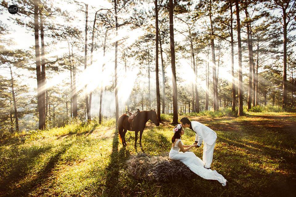 Bộ ảnh cưới lãng mạn mang phong cách vintage trên đồi thông