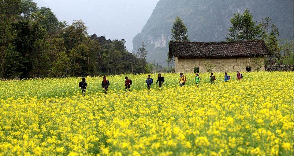 Nếu bạn có dịp đặt chân đến Mộc Châu mùa này thì hãy dành một chút thời gian tại bản Áng, xã Đông Sang để ngắm xem hoa cải vàng