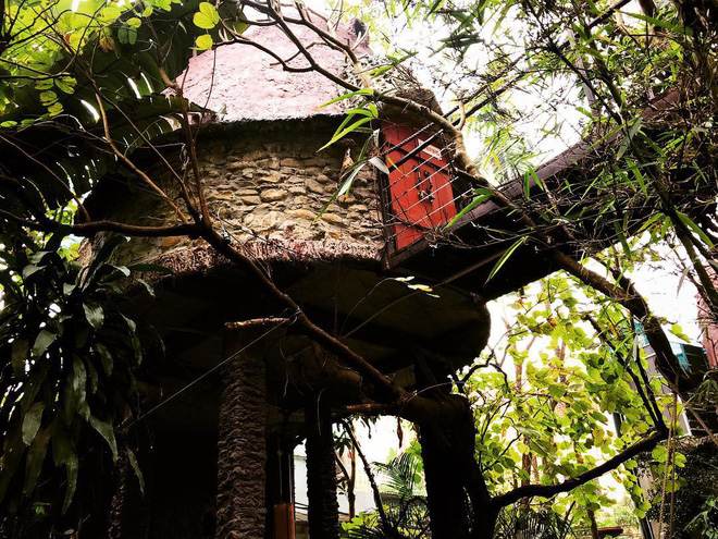 Dao Anh Khanh Tree House được xây dựng từ chủ nhân là một họa sỹ