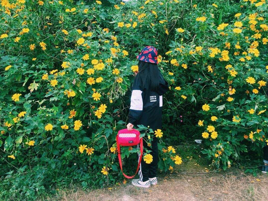 Hải Anh Tour