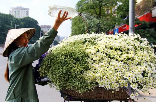 Không hiểu tự bao giờ, con phố Nguyễn Chí Thanh Hà Nội lại bất ngờ ngập sắc của những gánh hàng hoa