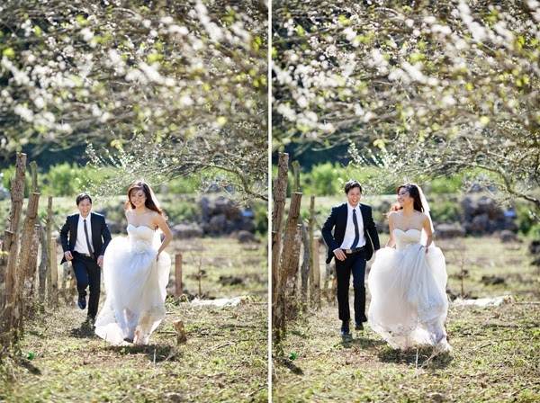 Bộ ảnh cưới được chụp ở Mộc Châu