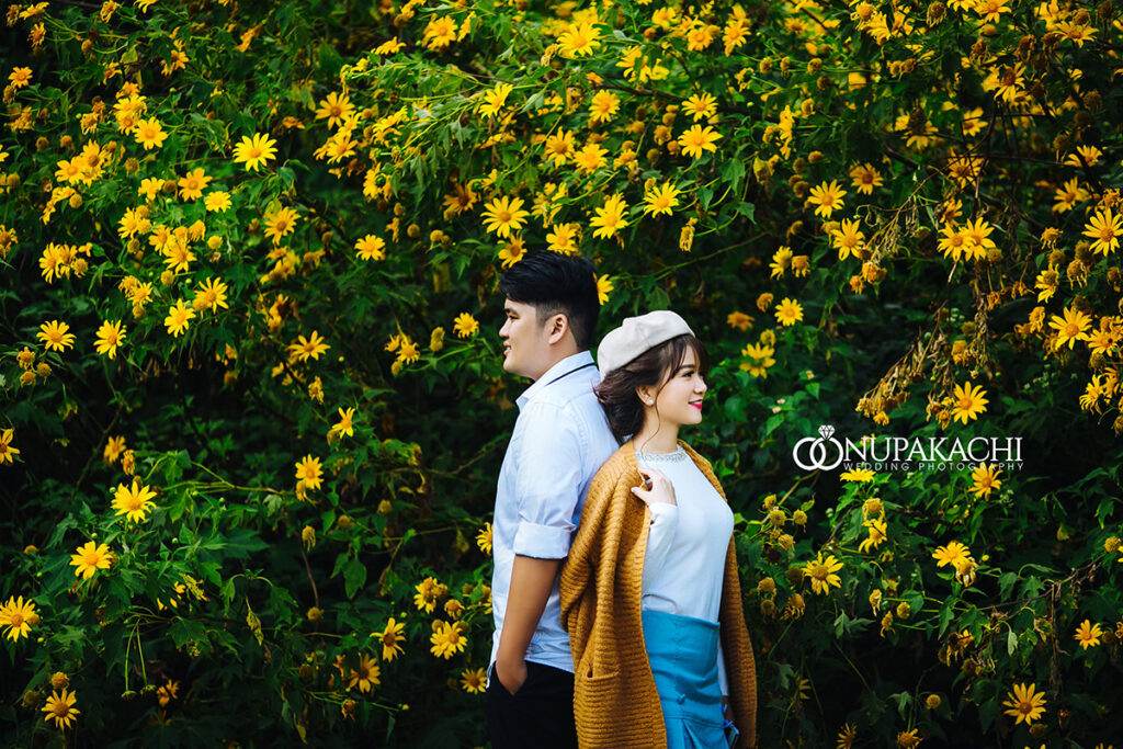 Hải Anh Tour