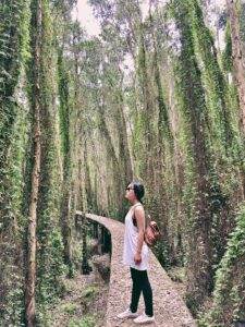 Có thể nói, điểm nhấn đặc biệt nhất của rừng tràm Tân Lập đó chính là "con đường tình yêu"