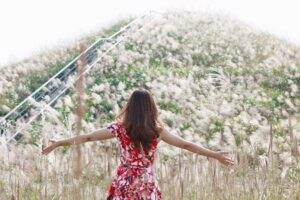 Những ngày này cỏ lau bung nở, tiết trời mát mẻ quang đãng