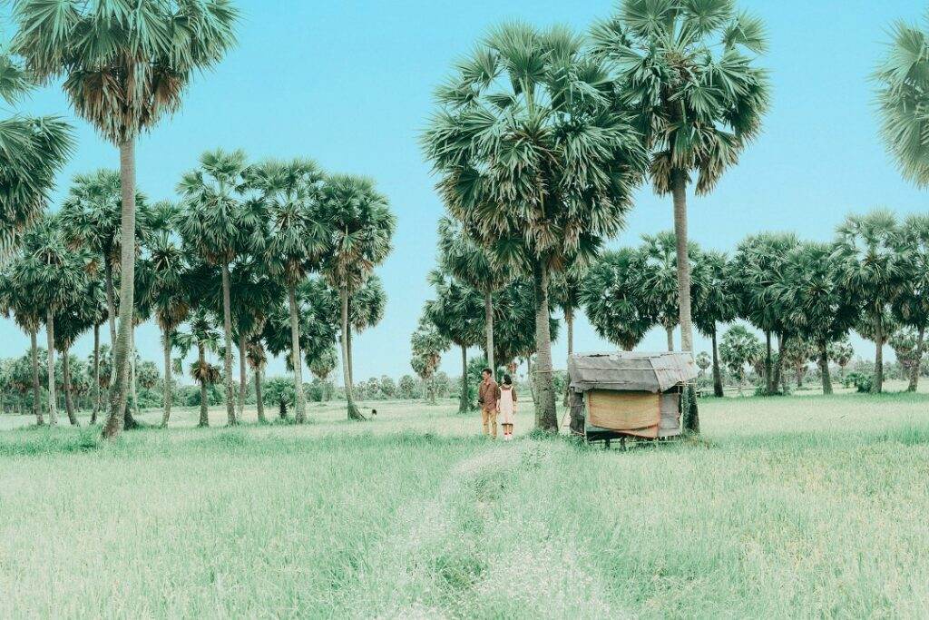 Hải Anh Tour