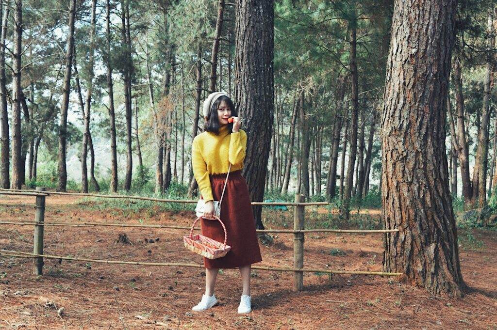 Hải Anh Tour