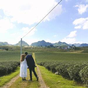 Mộc Châu còn là thiên đường chụp ảnh cưới