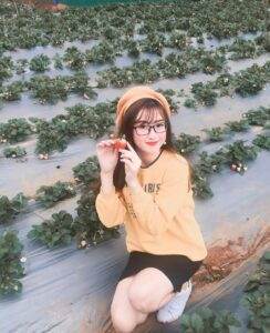 Vườn dâu "đẹp quên lối về"