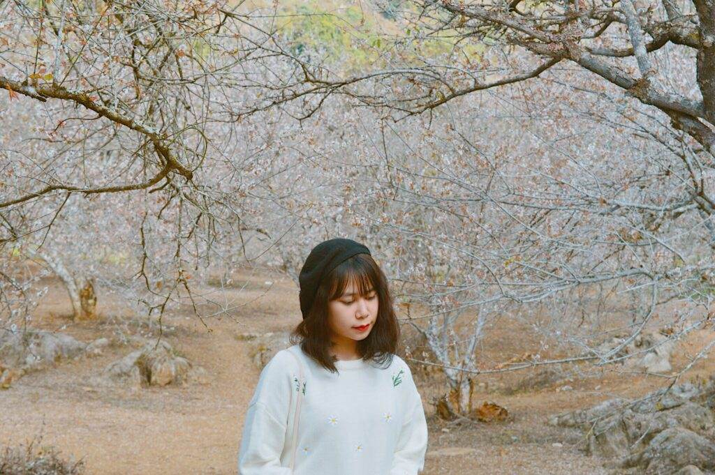 Hải Anh Tour