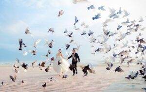 Công viên Biển Đông lãng mạn với hàng ngàn chú bồ câu