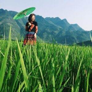 Khung cảnh thiên nhiên mơ mộng