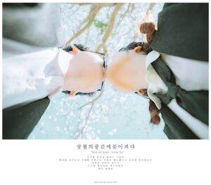 Truyền thuyết Hoa Ban gắn liền với chuyện tình yêu mãnh liệt nhưng cũng đầy nước mắt