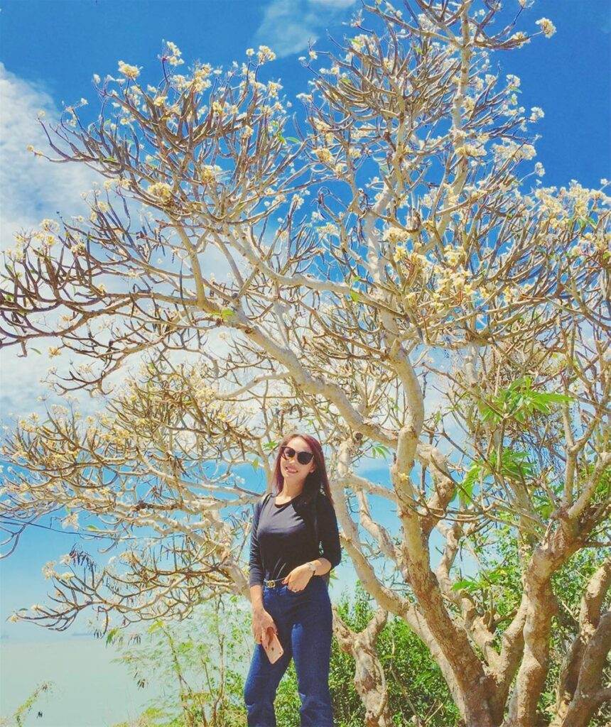 Hải Anh Tour