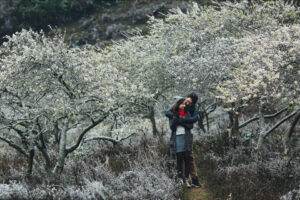 Mường Lống biến Nghệ An trở thành thiên đường của miền Trung nhờ vẻ đẹp khó trộn lẫn