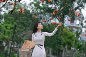 Tháng Ba là lúc hoa gạo bung mình khoe sắc