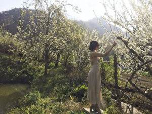 Khung cảnh mộng mơ, trữ tình