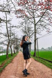 May mắn biết bao khi Hà Nội vẫn còn một con đường đẹp nôn nao thế này