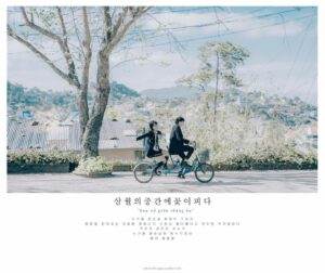 Tháng 3 về Đà Lạt vẫn hút hồn người đến lạ, những chùm ban trắng nở rộ