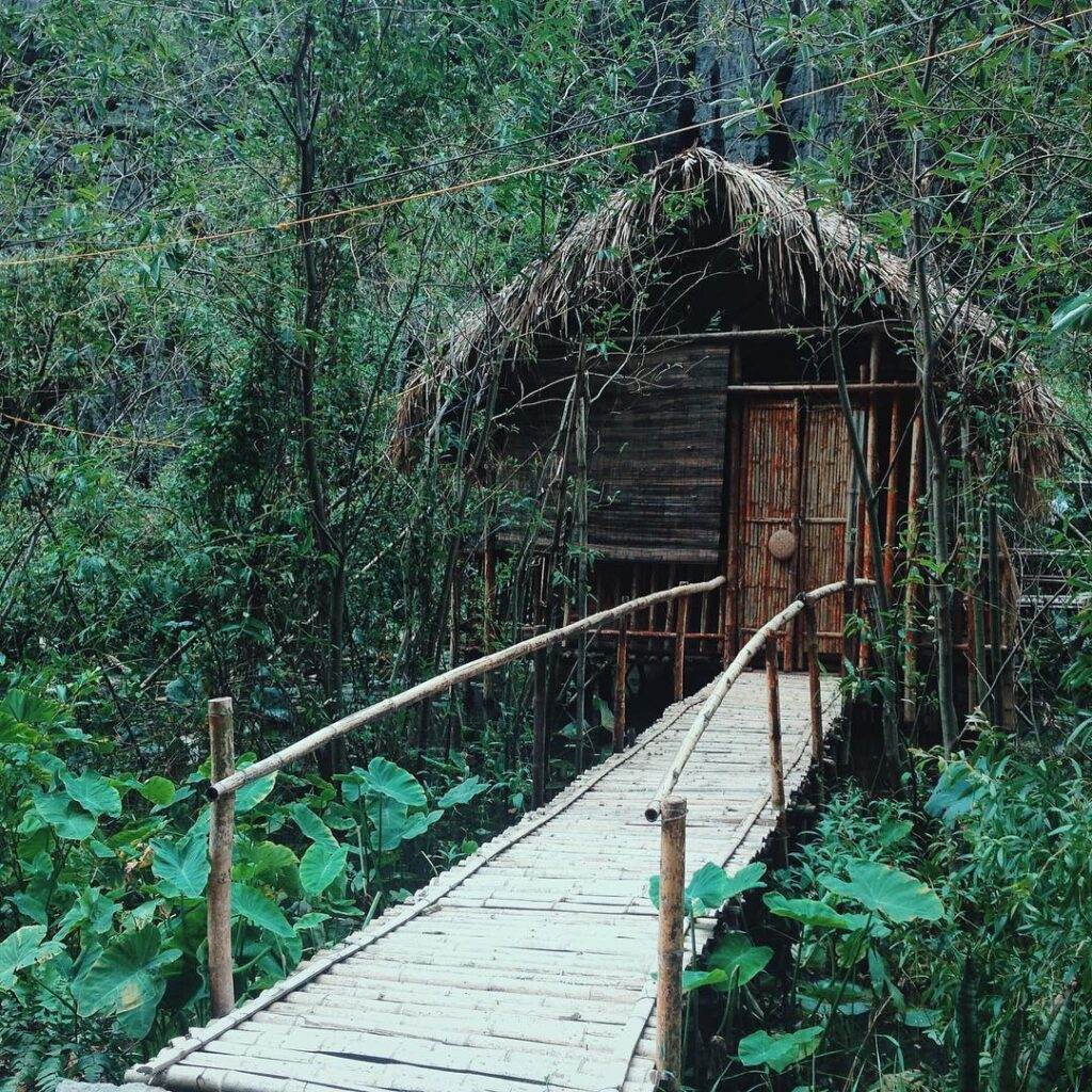Hải Anh Tour