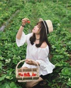 Mộc Châu - Thiên đường du lịch của miền Bắc