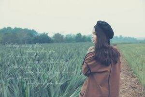 Nông trại Đồng Giao đẹp tựa một bức tranh phong thủy, thu hút rất nhiều lượt ghé thăm chụp ảnh