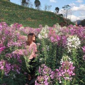 Tha hồ check in sống ảo