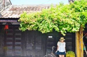 Không chỉ làm đẹp cho một ngôi nhà, có một giàn hoa, cả khu phố cũng như sáng bừng lên